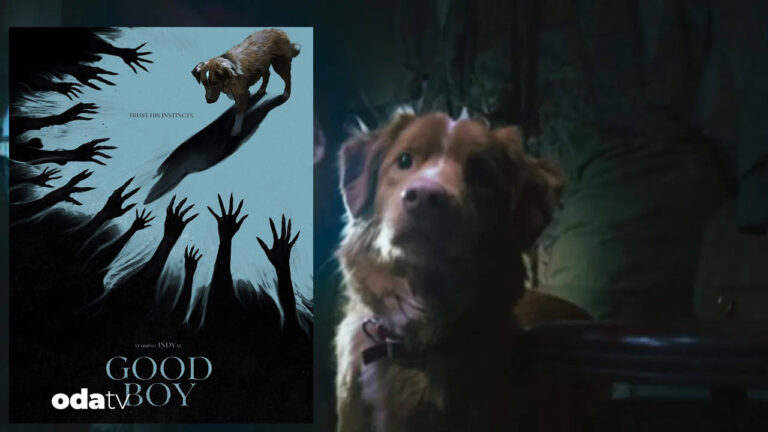 good-boy-filminin-fragmani-hayvanseverleri-ayaklandirdi-Mf7qnVXL.jpg